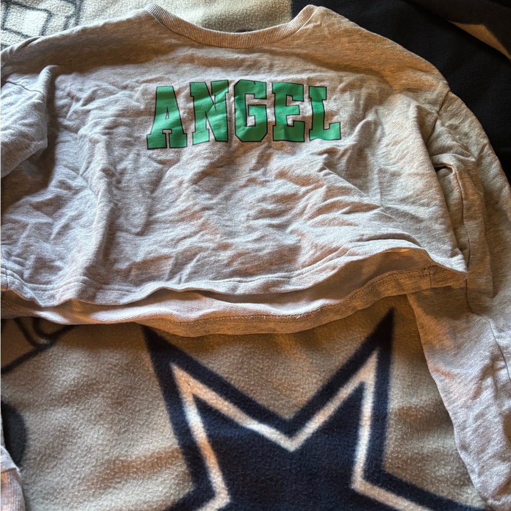 SHEIN Gray and Green Long Sleeve Tee